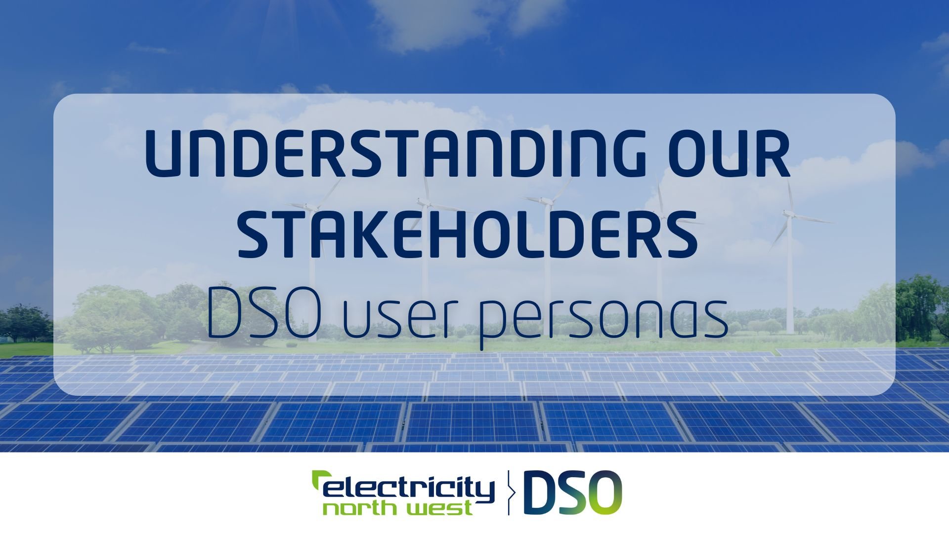 DSO Stakeholder Personas