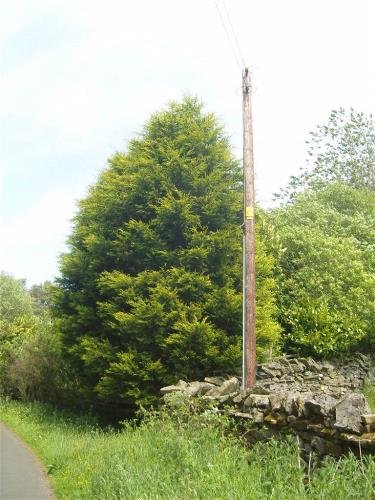 Overhead power lines in the North Pennines