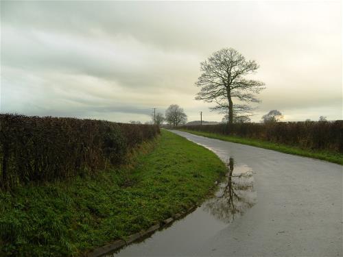 Street in Beaumont with overhead power lines removed