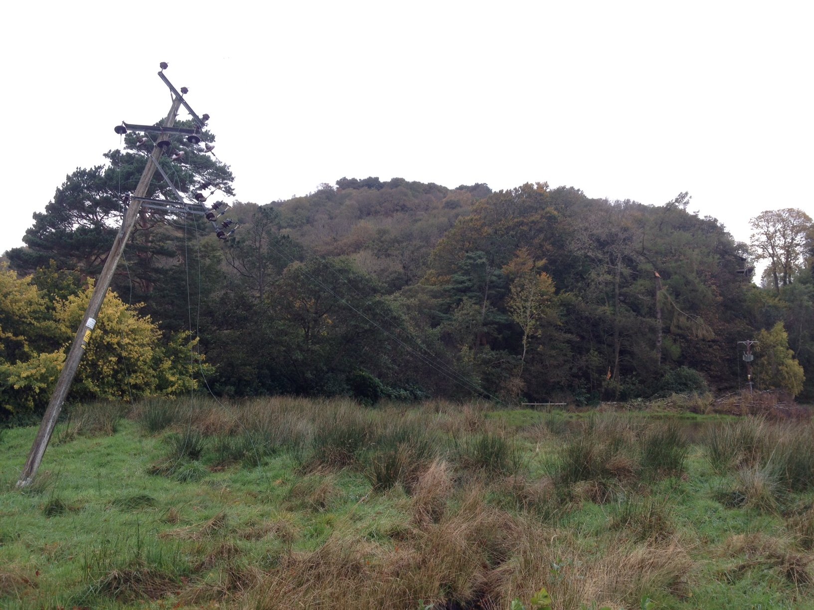 Power restored to 20,000 affected by ex-hurricane Ophelia (20:45 update)